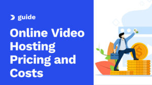 The Definitive Guide to Online Video Hosting Pricing and Costs in 2025