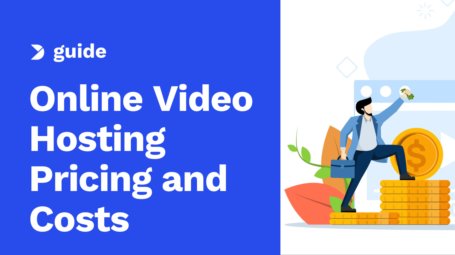 The Definitive Guide to Online Video Hosting Pricing and Costs in 2025